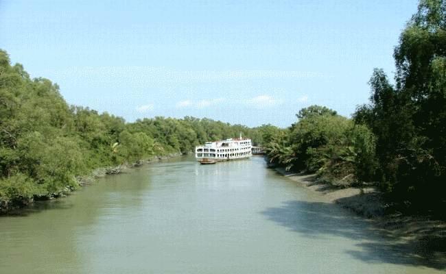sundarban