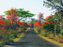 Bankura