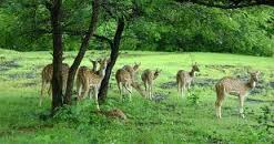 chhattisgarh-Jagdalpur